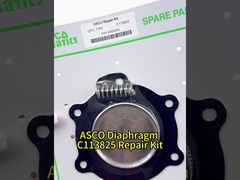 ASCO C113825 Ersatzreparatur-Kit für Asco 1 1/2