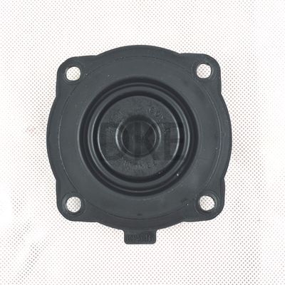 Goyen RCAC25 Diaphragm-Kit Typ K2546 Serie T4, DD4, FS4 Nitrilmaterial