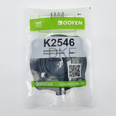 Goyen Typ 2546 K2549 Pulsventil-Wartungskits RCAC25 Serie T3, DD3, FS3,
