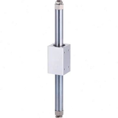 CY3B10 - 100/200/300/400/500 Stangloser Kolbenzylinder ohne Schmiermittel