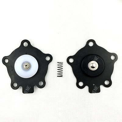 K2003 (M1174B) GOYEN Pulsventil Diaphragma Reparatur-Kit Ventilmodell RCA20M 8002047