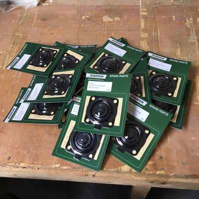 Goyen RCAC20-Wartungskits Typ K2034 Serie T4, ST4, DD4, FS4 Nitril-Material die beste Wahl