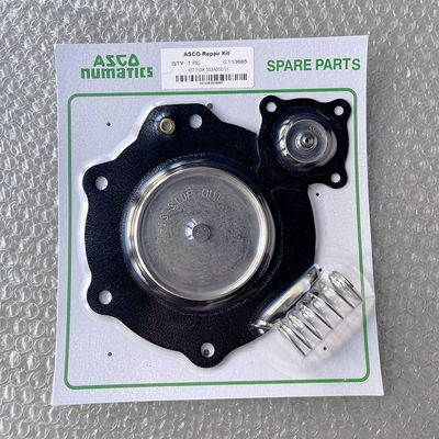 C113685 Asco-Pulsventil Diaphragma Reparatur-Kit Diaphragma