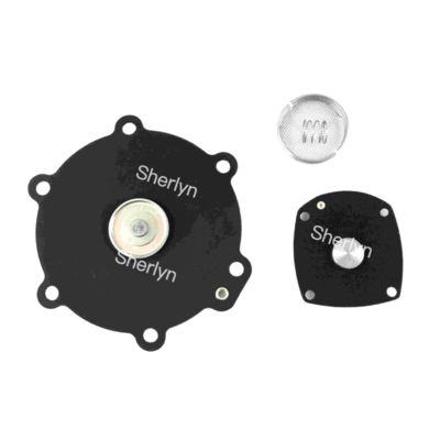 M50 Membran-Reparatursatz Turbo 2" DN50 FP55 FM55 SQP50 SQM60