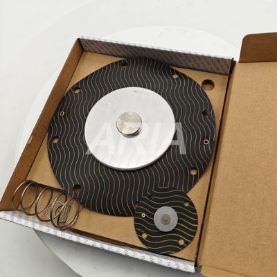 Watson WPS-CA/EP102.B 4-Zoll-Immersionspulsventil-Diaphragma-Reparatur-Kit, elektromagnetische Ventil-Diaphragma-Reparatur-Kit