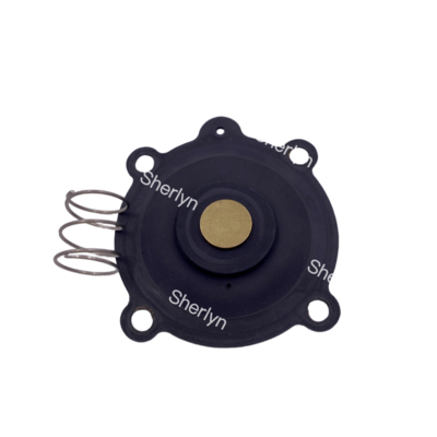 ASCO C131606 Membran-Reparatursatz passend für SCE238D004 SCE238D009 Wasserventil Membran NBR/VITON