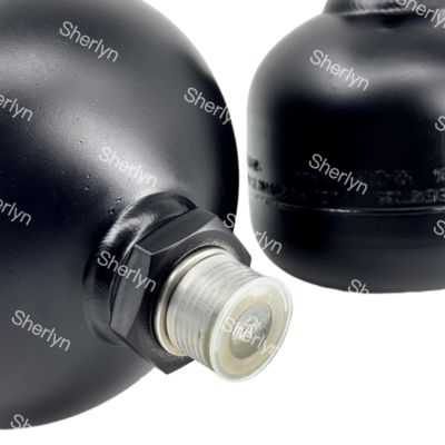 VOE17262260 Volvo Diaphragma-Akkumulator 0,75L