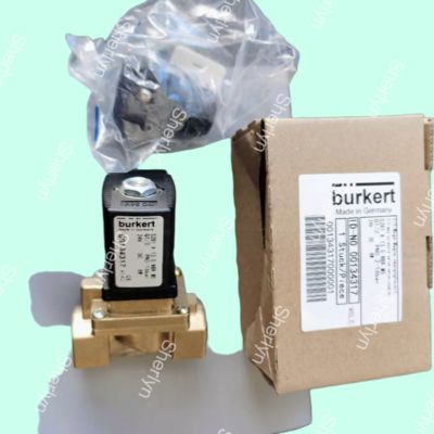 00221846 Burkert-Solenoidventil AC220V G1/2