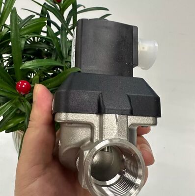 BurkeRT 6213EV 00222168 00222169 00222170 Normal geschlossenes Magnetventil Magnetventil aus Edelstahl Pneumatisches Steuerventil