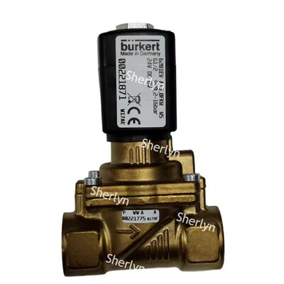 Burkert-Solenoidventil 00322513 Betriebsspannung AC220V Typ 6281 Wasserventil G1/4 Zwei-Zug-Position Normal geschlossen