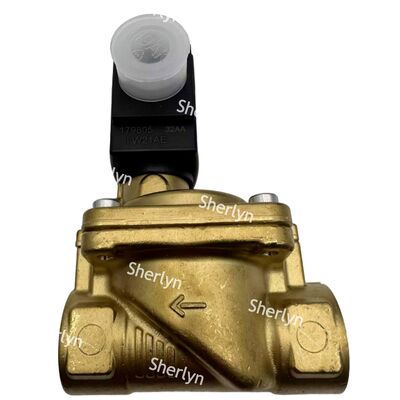 Burkert-Solenoidventil 00221930 6281 Typ G3/4 2/2 Gewöhnlich geöffnet DC24V