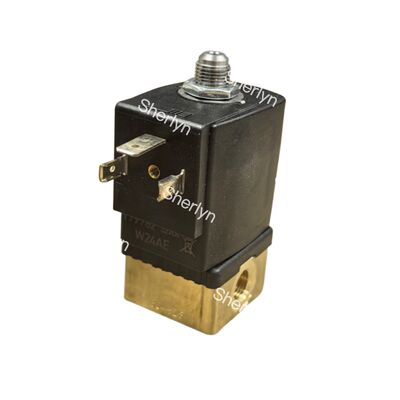 1.5W Ultra-Low Power G1 1/4′′ 25mm FKM Versiegeltes Messing-Solenoidventil Burkert 00221888 24V Gleichspannung 2/2 NC 0-120°C Servo-Assistiert