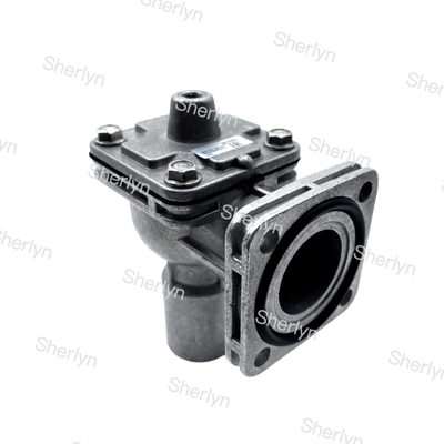 GOYEN 4. Generation RCAC25FS4 1-Zoll-Flansch-Impulsventil pneumatische Staubkontrolle
