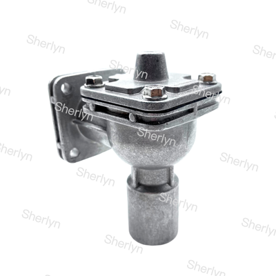 GOYEN 4. Generation RCAC25FS4 1-Zoll-Flansch-Impulsventil pneumatische Staubkontrolle
