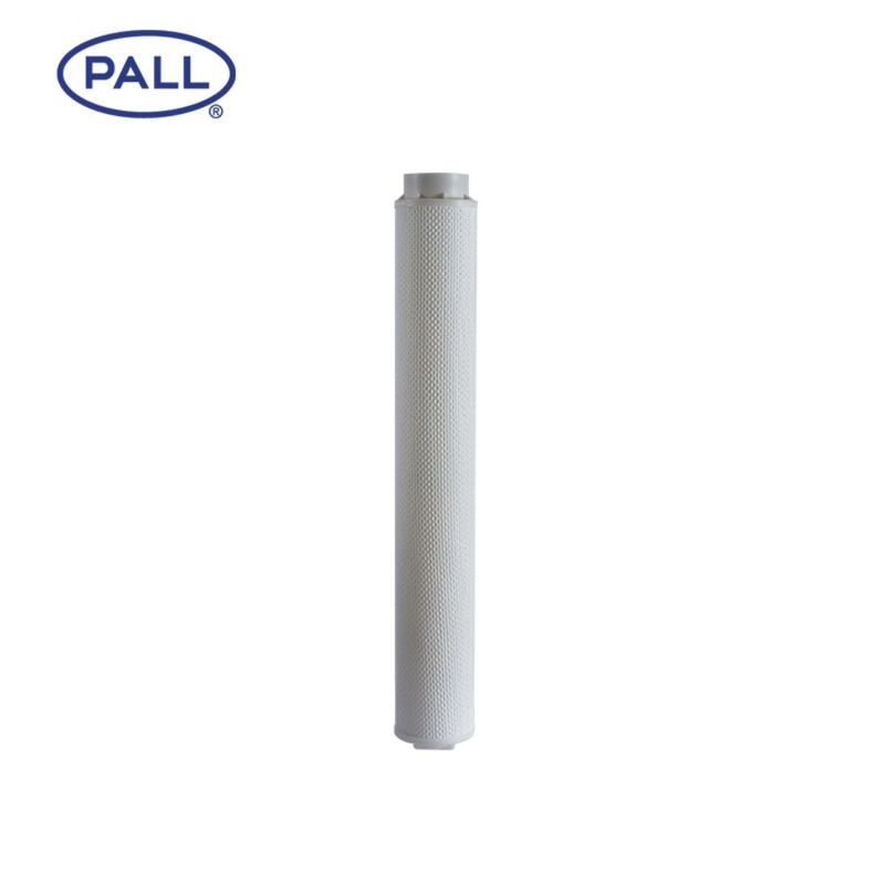 HC6300FCZ26Z PALL Präzisionsfilter mit Fluorgummi-Dichtung