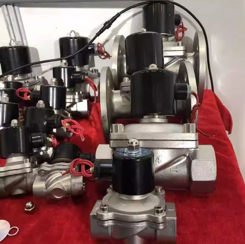 Wasserventil Magnetventil Dampfventil Pneumatikventil Magnetventil SUW-25 SUS 316 Edelstahl