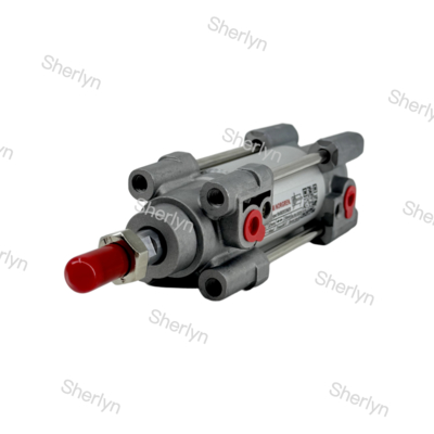 RA/802032/M/125 Doppelwirkender Zylinder 32 mm Durchmesser 125 mm Schlag