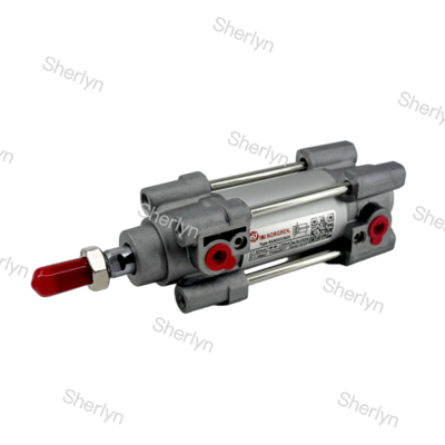 50 mm Schlag Norgren-Zylinder RA/802032/M/50 Doppelwirkungszylinder 32 mm Durchmesser